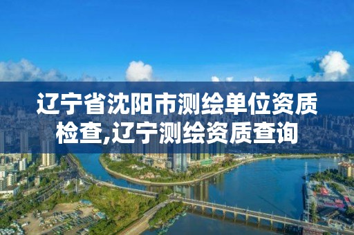 辽宁省沈阳市测绘单位资质检查,辽宁测绘资质查询