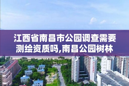 江西省南昌市公园调查需要测绘资质吗,南昌公园树林