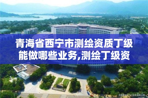 青海省西宁市测绘资质丁级能做哪些业务,测绘丁级资质申报条件