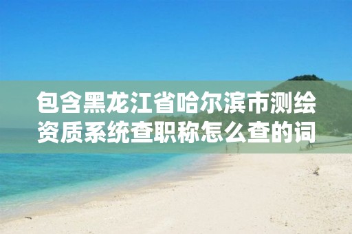 包含黑龙江省哈尔滨市测绘资质系统查职称怎么查的词条