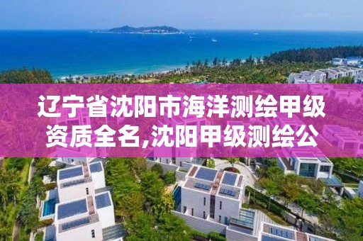 辽宁省沈阳市海洋测绘甲级资质全名,沈阳甲级测绘公司