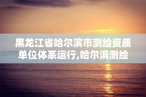 黑龙江省哈尔滨市测绘资质单位体系运行,哈尔滨测绘内业招聘信息