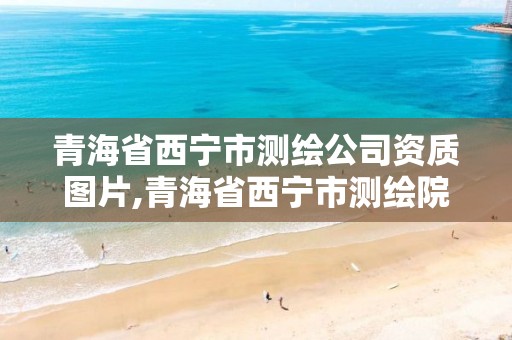 青海省西宁市测绘公司资质图片,青海省西宁市测绘院