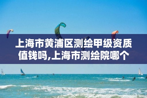 上海市黄浦区测绘甲级资质值钱吗,上海市测绘院哪个分院好