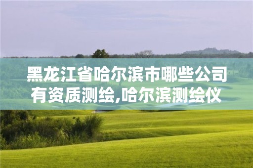 黑龙江省哈尔滨市哪些公司有资质测绘,哈尔滨测绘仪器检测