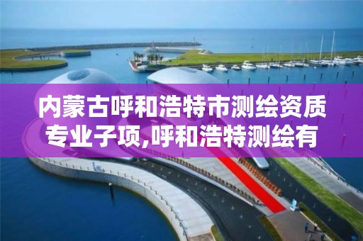 内蒙古呼和浩特市测绘资质专业子项,呼和浩特测绘有限公司