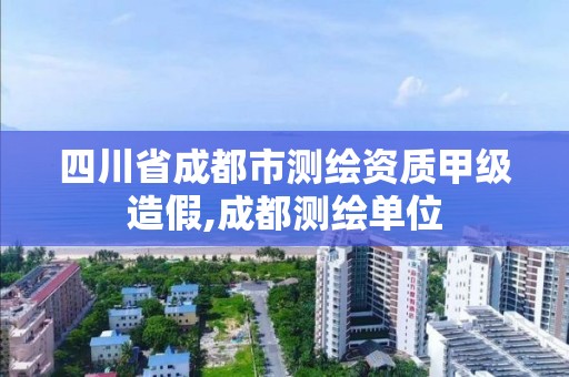 四川省成都市测绘资质甲级造假,成都测绘单位