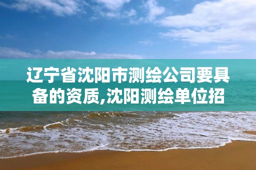 辽宁省沈阳市测绘公司要具备的资质,沈阳测绘单位招聘