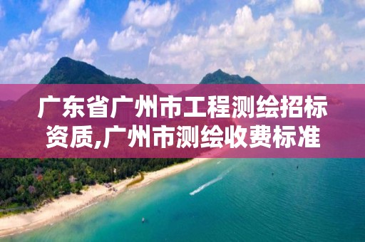 广东省广州市工程测绘招标资质,广州市测绘收费标准