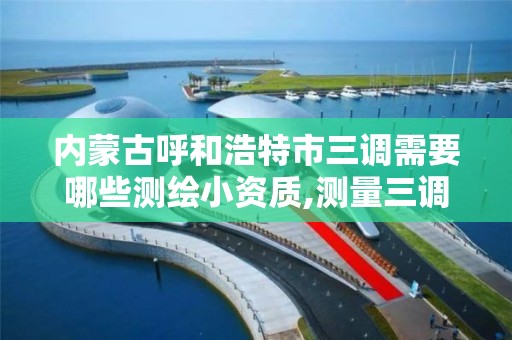 内蒙古呼和浩特市三调需要哪些测绘小资质,测量三调都有哪些工作。