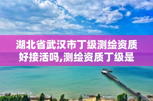 湖北省武汉市丁级测绘资质好接活吗,测绘资质丁级是什么意思