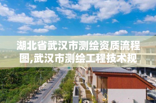 湖北省武汉市测绘资质流程图,武汉市测绘工程技术规定