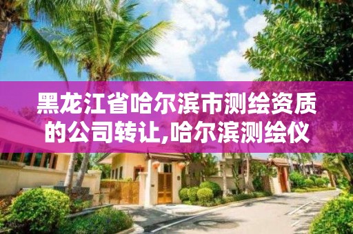 黑龙江省哈尔滨市测绘资质的公司转让,哈尔滨测绘仪器