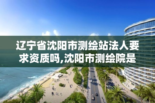 辽宁省沈阳市测绘站法人要求资质吗,沈阳市测绘院是什么单位