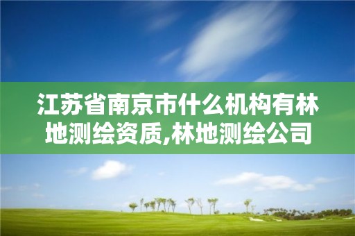 江苏省南京市什么机构有林地测绘资质,林地测绘公司。