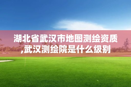 湖北省武汉市地图测绘资质,武汉测绘院是什么级别