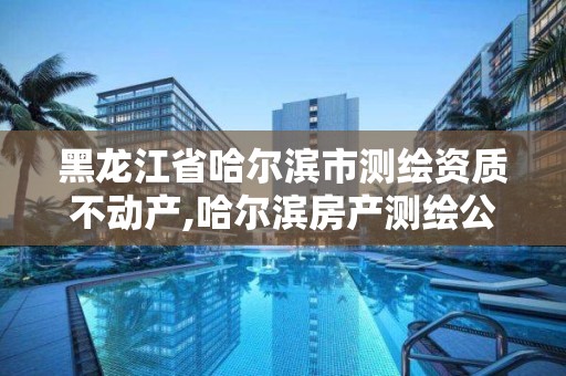 黑龙江省哈尔滨市测绘资质不动产,哈尔滨房产测绘公司电话