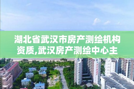 湖北省武汉市房产测绘机构资质,武汉房产测绘中心主要做什么