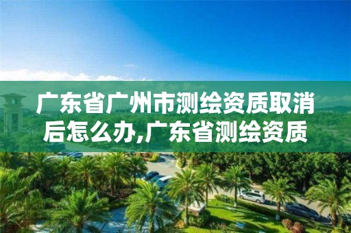 广东省广州市测绘资质取消后怎么办,广东省测绘资质单位名单。