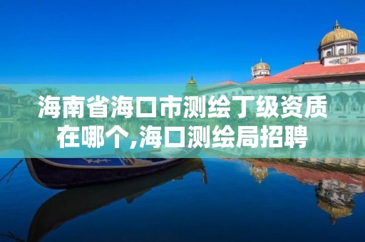 海南省海口市测绘丁级资质在哪个,海口测绘局招聘