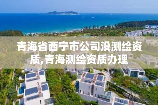 青海省西宁市公司没测绘资质,青海测绘资质办理