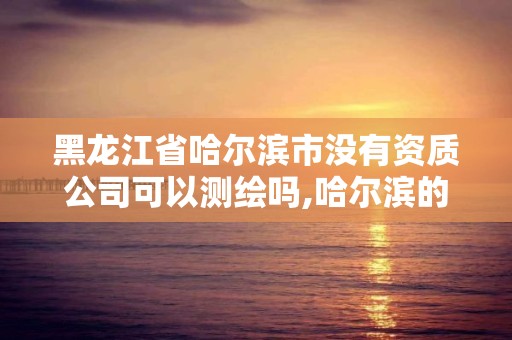 黑龙江省哈尔滨市没有资质公司可以测绘吗,哈尔滨的测绘公司有哪些