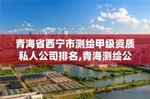 青海省西宁市测绘甲级资质私人公司排名,青海测绘公司有哪些