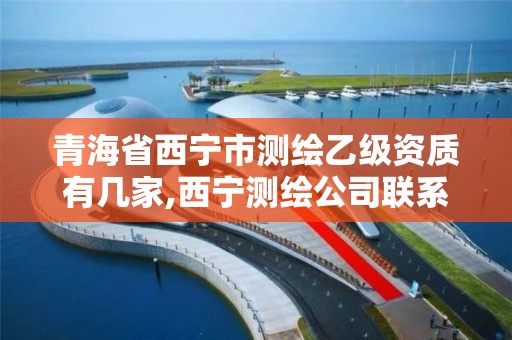 青海省西宁市测绘乙级资质有几家,西宁测绘公司联系方式