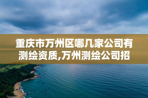 重庆市万州区哪几家公司有测绘资质,万州测绘公司招聘。