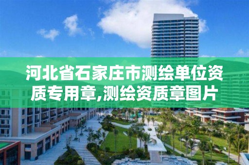 河北省石家庄市测绘单位资质专用章,测绘资质章图片。