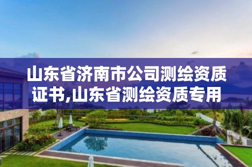 山东省济南市公司测绘资质证书,山东省测绘资质专用章