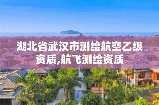 湖北省武汉市测绘航空乙级资质,航飞测绘资质