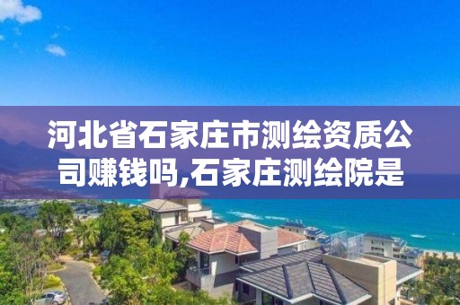 河北省石家庄市测绘资质公司赚钱吗,石家庄测绘院是国企吗