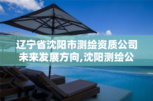 辽宁省沈阳市测绘资质公司未来发展方向,沈阳测绘公司有哪些。