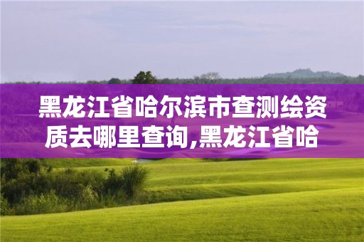 黑龙江省哈尔滨市查测绘资质去哪里查询,黑龙江省哈尔滨市测绘局。