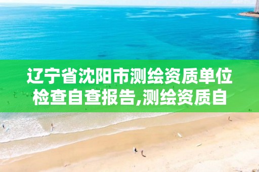 辽宁省沈阳市测绘资质单位检查自查报告,测绘资质自查情况表如何填写。