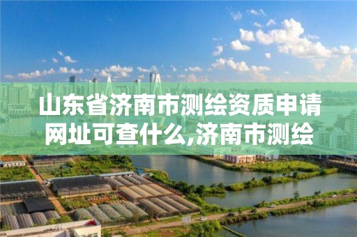 山东省济南市测绘资质申请网址可查什么,济南市测绘院电话