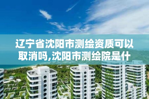 辽宁省沈阳市测绘资质可以取消吗,沈阳市测绘院是什么单位