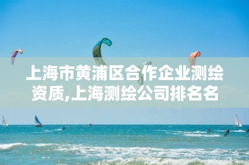 上海市黄浦区合作企业测绘资质,上海测绘公司排名名单