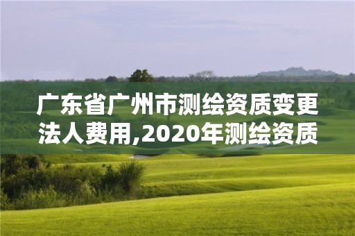 广东省广州市测绘资质变更法人费用,2020年测绘资质换证