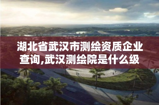 湖北省武汉市测绘资质企业查询,武汉测绘院是什么级别