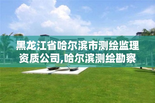 黑龙江省哈尔滨市测绘监理资质公司,哈尔滨测绘勘察研究院怎么样