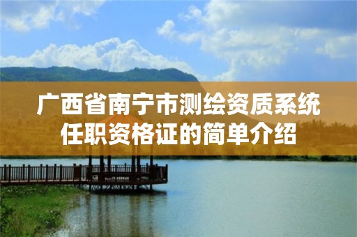 广西省南宁市测绘资质系统任职资格证的简单介绍