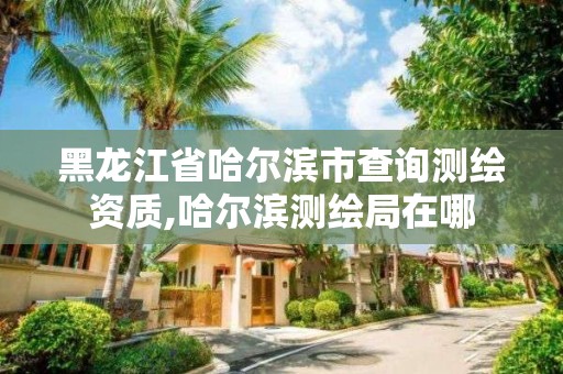 黑龙江省哈尔滨市查询测绘资质,哈尔滨测绘局在哪