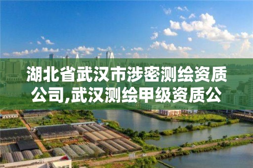 湖北省武汉市涉密测绘资质公司,武汉测绘甲级资质公司