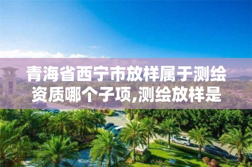 青海省西宁市放样属于测绘资质哪个子项,测绘放样是什么意思。