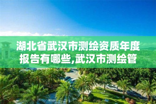 湖北省武汉市测绘资质年度报告有哪些,武汉市测绘管理条例