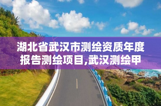 湖北省武汉市测绘资质年度报告测绘项目,武汉测绘甲级资质公司