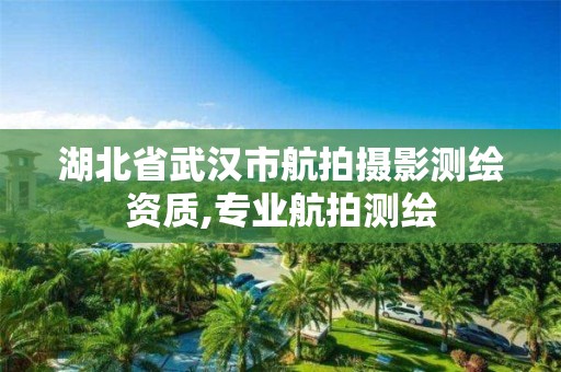 湖北省武汉市航拍摄影测绘资质,专业航拍测绘