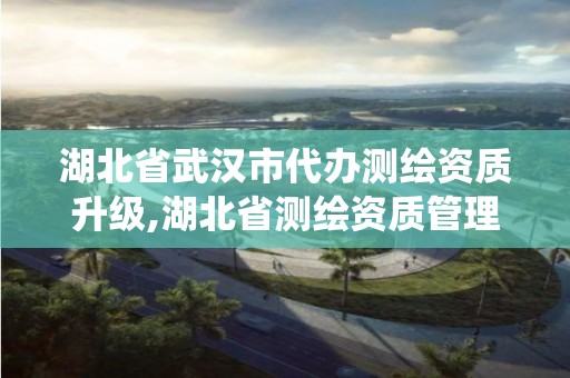 湖北省武汉市代办测绘资质升级,湖北省测绘资质管理系统